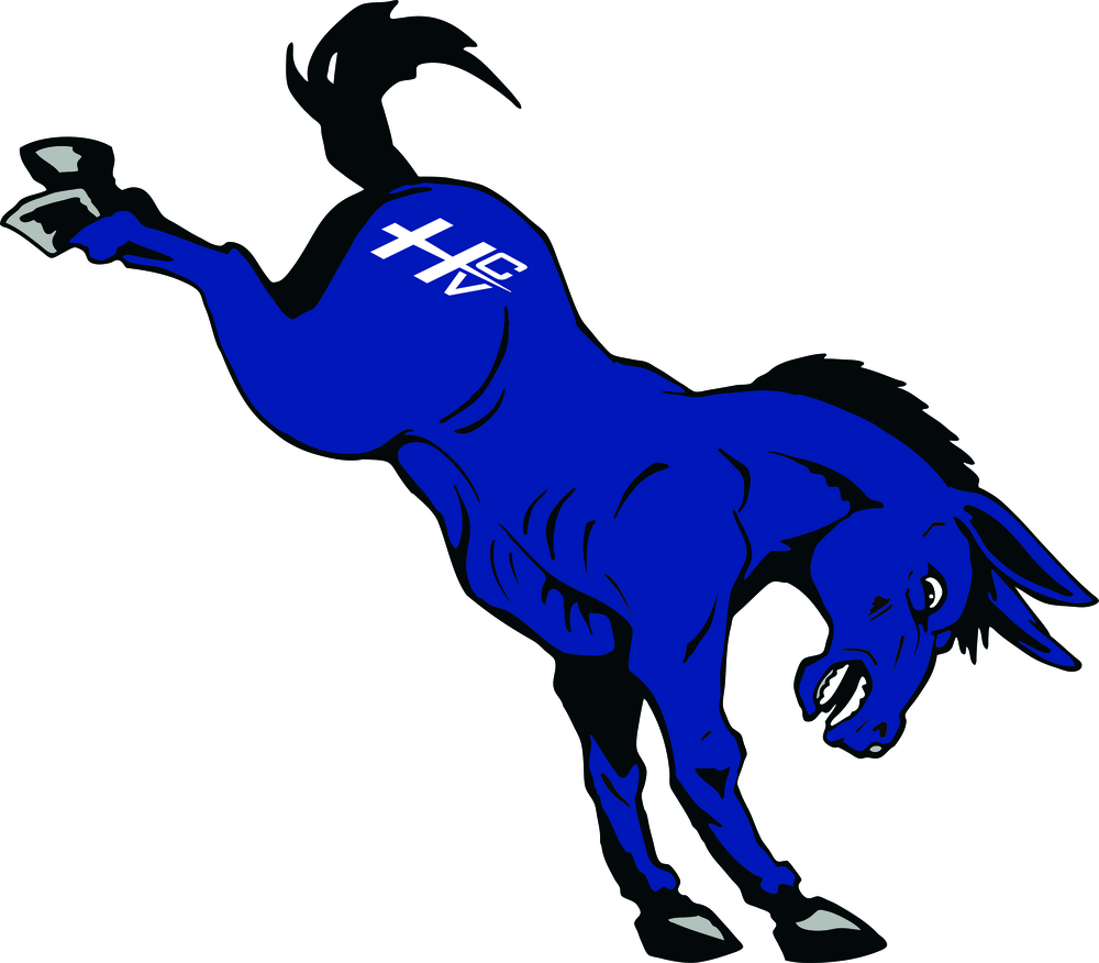 Volleyball Burro Buddies