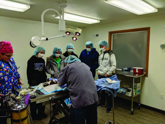 Vet Science Field Trip