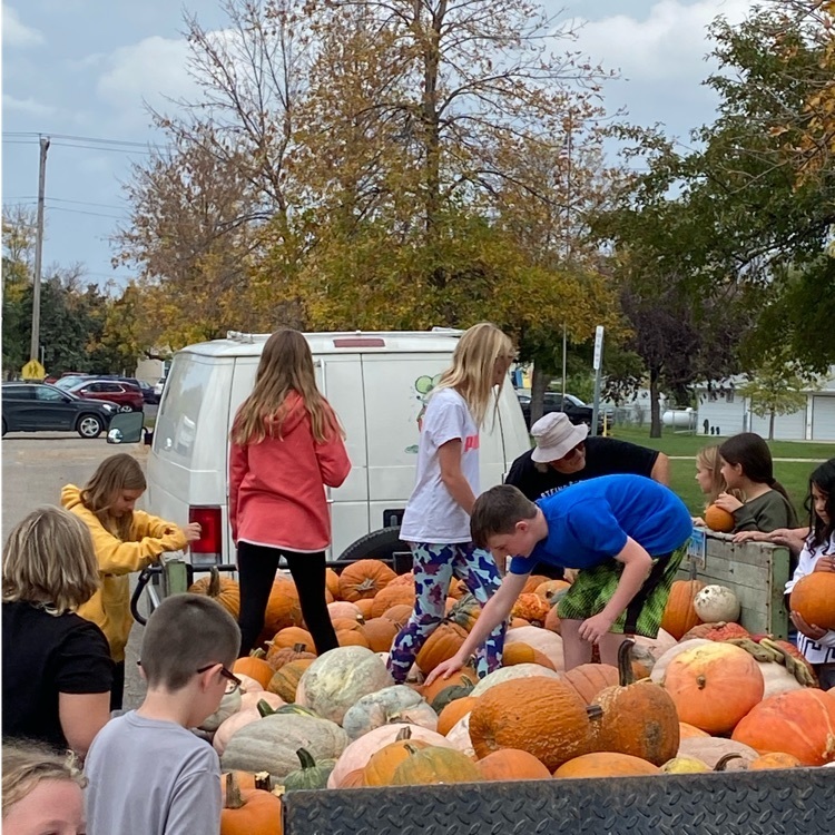 picking a pumpkin