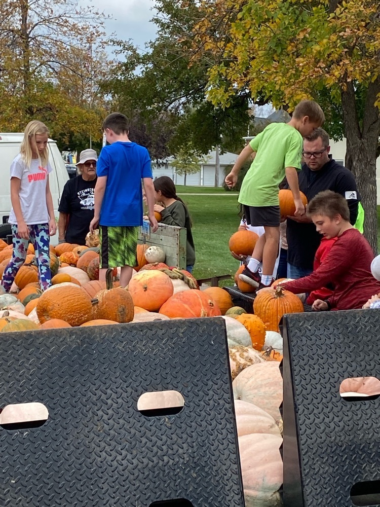 Pumpkins!